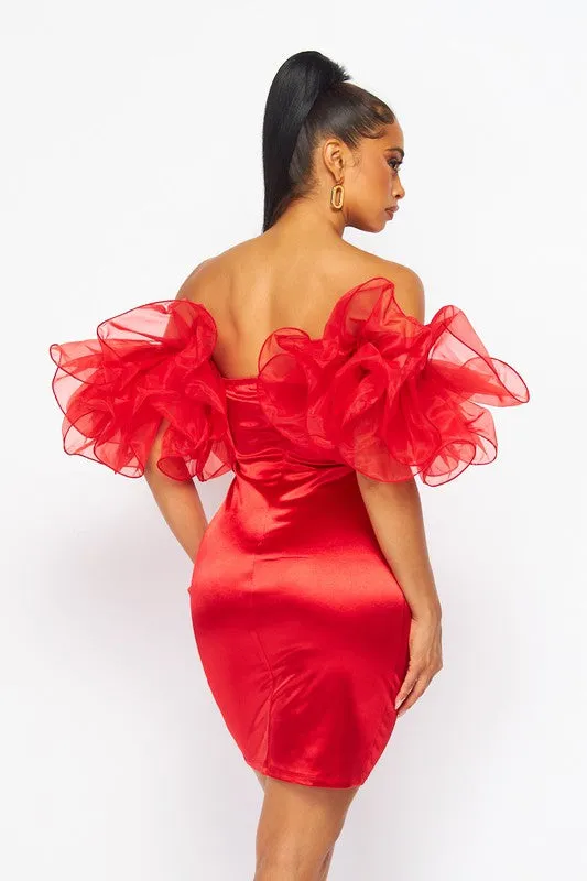 Red Wire Organza Ruffle Mini Dress