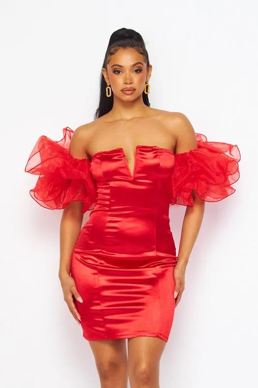 Red Wire Organza Ruffle Mini Dress